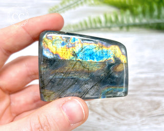 A Grade Mini Labradorite Freeform #10