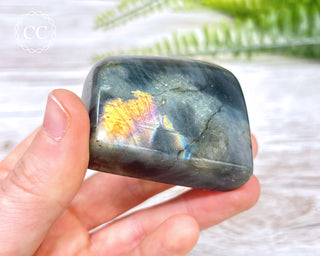 A Grade Mini Labradorite Freeform #10