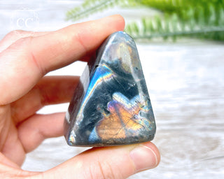 A Grade Mini Labradorite Freeform #11