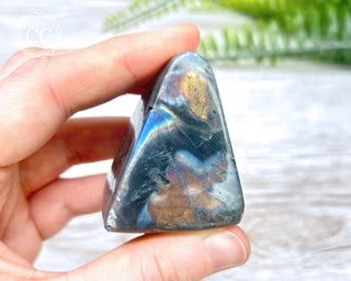 A Grade Mini Labradorite Freeform #11