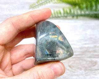 A Grade Mini Labradorite Freeform #11