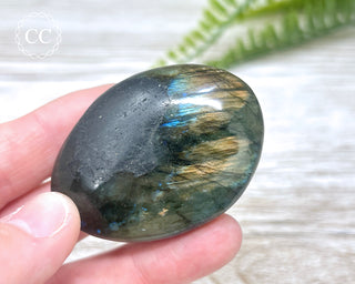 Labradorite Chunky Palm Stone #10