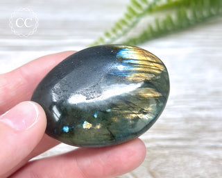 Labradorite Chunky Palm Stone #10