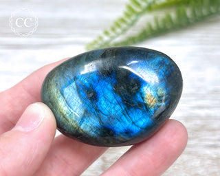 Labradorite Chunky Palm Stone #11