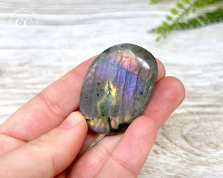 Labradorite Flat  Palm Stone