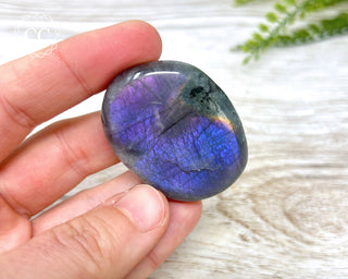 Labradorite Flat  Palm Stone