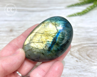 Labradorite Chunky Palm Stone #12