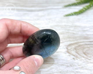 Labradorite Chunky Palm Stone #12