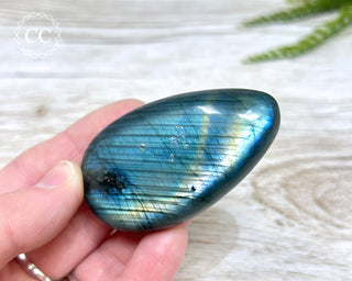 Labradorite Chunky Palm Stone #16