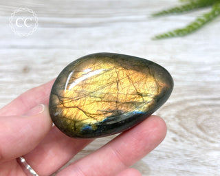 Labradorite Chunky Palm Stone #17