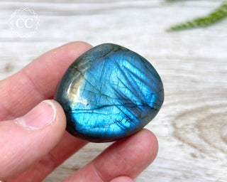 Labradorite Chunky Palm Stone #19