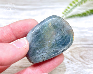 Labradorite Chunky Palm Stone #2