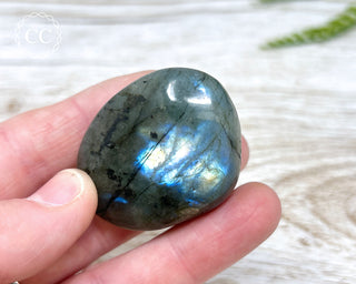 Labradorite Chunky Palm Stone #19