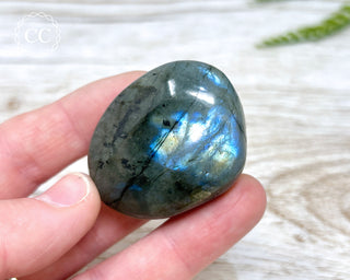 Labradorite Chunky Palm Stone #19