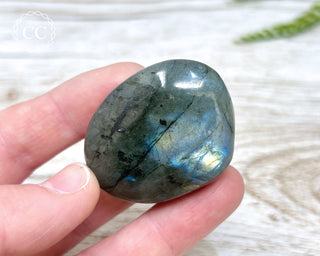 Labradorite Chunky Palm Stone #19