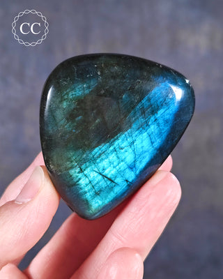 A hand holding a Labradorite Palmstone from Madagascar