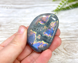 Labradorite Flat  Palm Stone