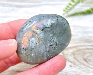 Labradorite Chunky Palm Stone #18