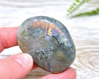 Labradorite Chunky Palm Stone #18