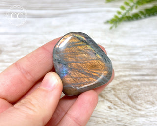 Labradorite Flat  Palm Stone