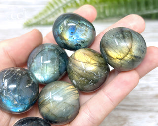 Chunky Labradorite Pebble