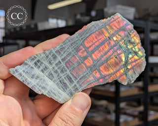 Labradorite Top Polished Slice #3