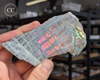 Labradorite Top Polished Slice #3