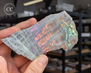 Labradorite Top Polished Slice #3
