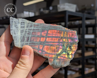Labradorite Top Polished Slice #3