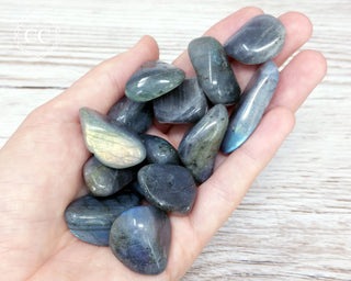 Labradorite tumbled crystals in hand