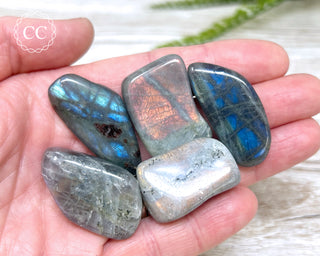 A hand holding 5 Labradorite tumbled crystals 