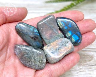 Labradorite Tumbled Crystal