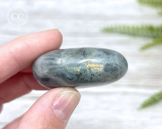 Labradorite Chunky Palm Stone #1