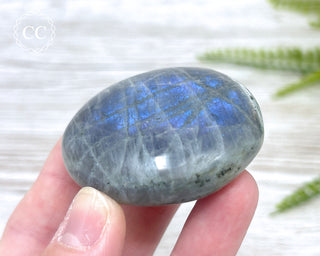 Labradorite Chunky Palm Stone #7