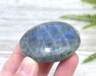 Labradorite Chunky Palm Stone #7