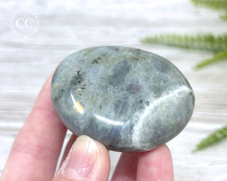 Labradorite Chunky Palm Stone #7