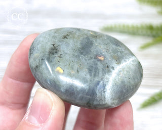 Labradorite Chunky Palm Stone #7