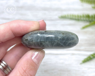 Labradorite Chunky Palm Stone #7