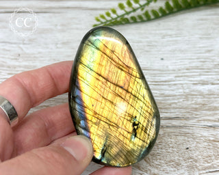 A Grade Labradorite Mini Freeform #24