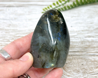 A Grade Labradorite Mini Freeform #24