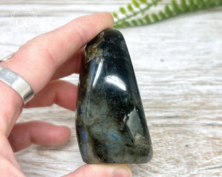 A Grade Labradorite Mini Freeform #24