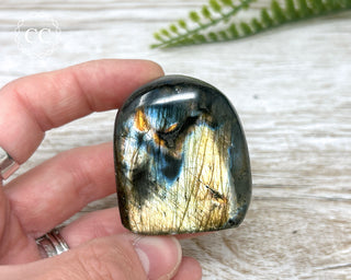 A Grade Labradorite Mini Freeform #25