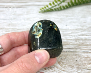 A Grade Labradorite Mini Freeform #25