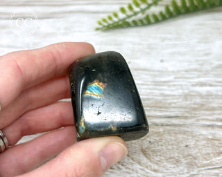 A Grade Labradorite Mini Freeform #25