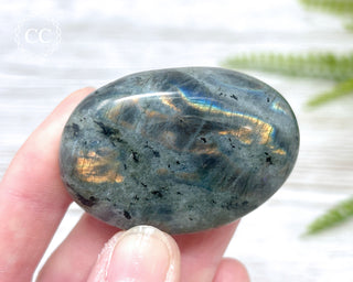 Labradorite Chunky Palm Stone #2