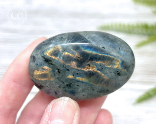 Labradorite Chunky Palm Stone #2