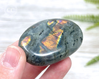 Labradorite Chunky Palm Stone #2