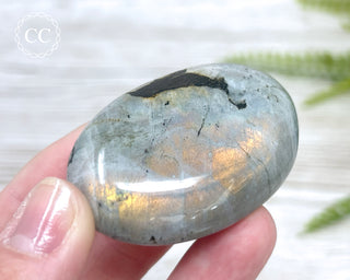 Labradorite Chunky Palm Stone #3