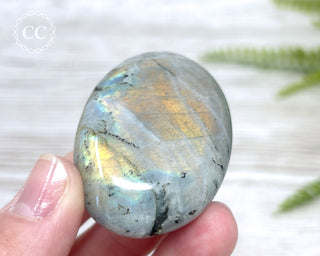 Labradorite Chunky Palm Stone #3