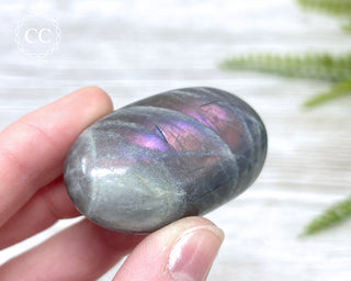 Labradorite Chunky Palm Stone #4